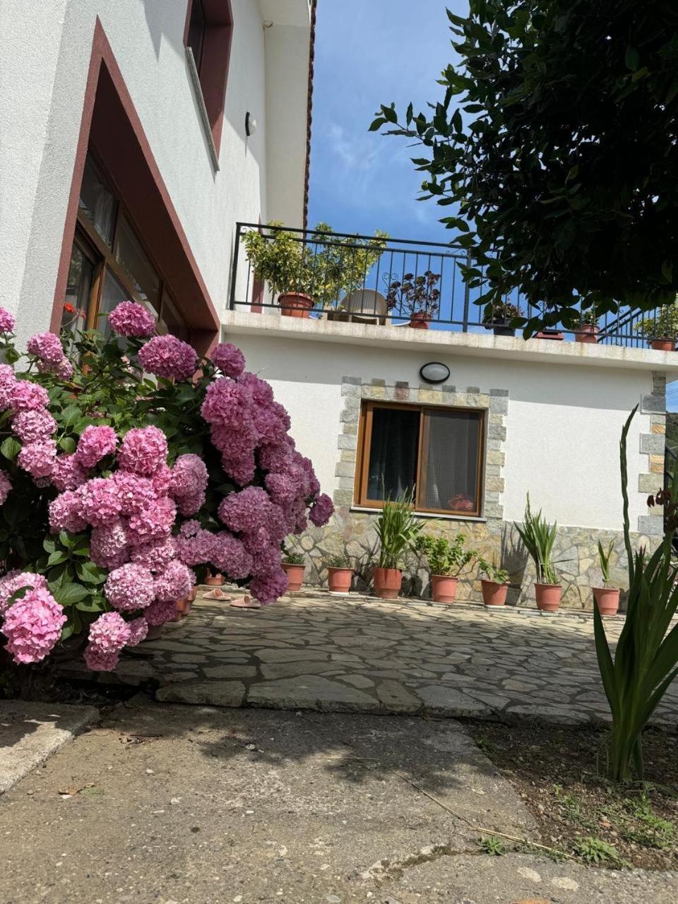Villa Zefi Rrenc Papaj Exteriör bild