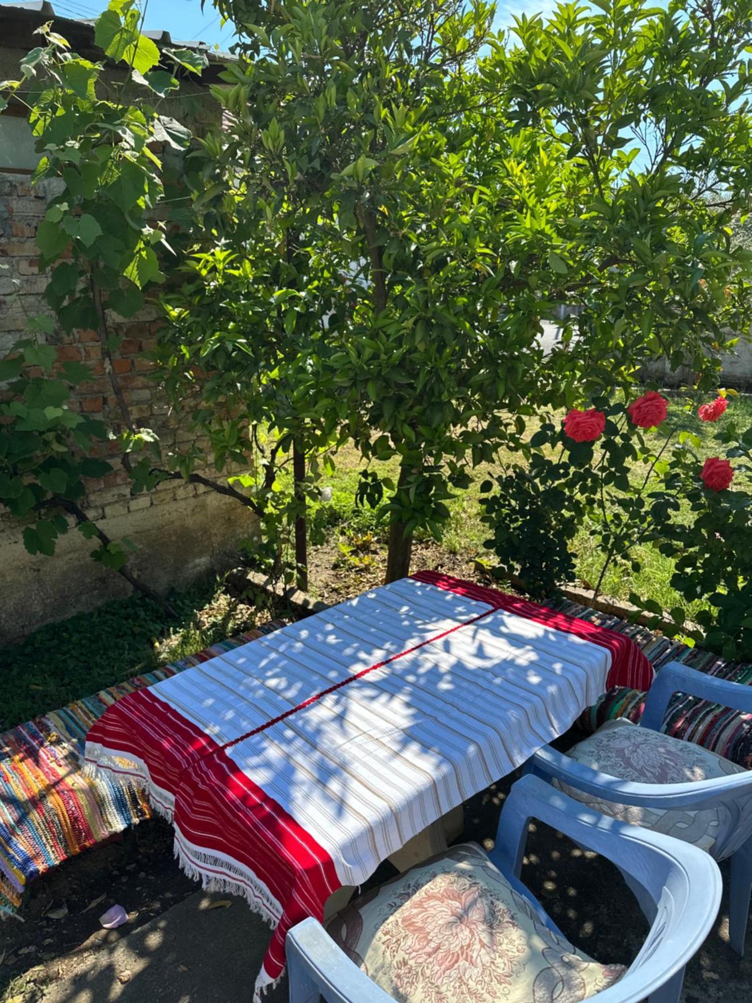 Villa Zefi Rrenc Papaj Exteriör bild